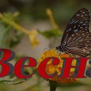 Весна Лирика Поозитив De