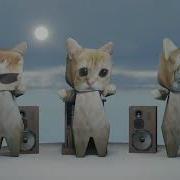 Тяп Тяп Тяп