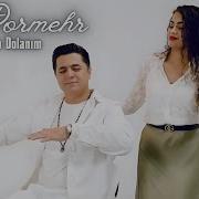 Ali Pormehr Başına Dolanım