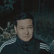 Камызякские Псы Все Песни