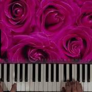 Розовые Розы Синтезатор