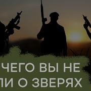 Гражданская Оборона Выпуск 3