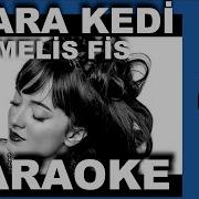Kara Kedi Karaoke