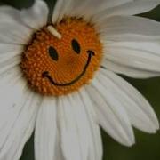 Зажигаются Звёзды