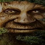 Мудрфй Дуб Атакует