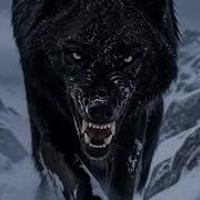 Поговорим Душа Alpha