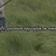 От Сыта