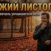 Живая Сруна Рыжий Листопад