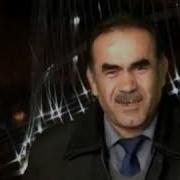 Агарки Пулдор Боши