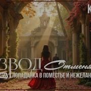 Развод Отменяется