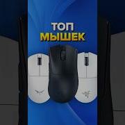 Мышка Для Тимура