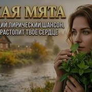 Красивый Грустный Шансон Бар Живая Струна