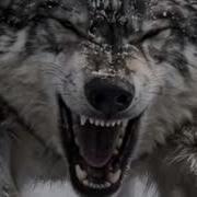 Не Стал Как Вы