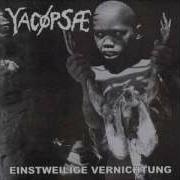 Yacopsae Vorläufige Vernichtung
