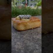 Прикол С Муравьем