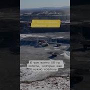 Моловато Золота