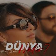 Perviz Dunya Nedir