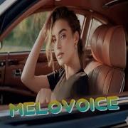 Melovoice Topic