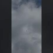 Звук Летящей Герани