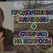 Аннет