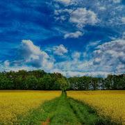 Гр Город Переход