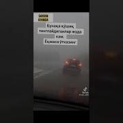 Каро Кузим Келу Мардум