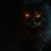 Рать Кот Баюн