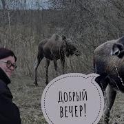 Yulli