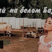 Малай На Белом Барсе Текст