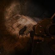 Сталкер Крыса