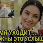 Время Все Рассудит