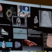 Usf Advanced Visualization Center