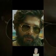 Pushpa Bgm