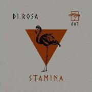 Di Rosa Stamina
