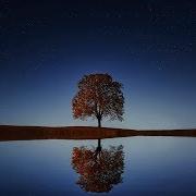 Маска Расслабления Вальяк