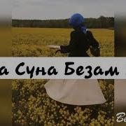 Вола Вола Суна Велалой