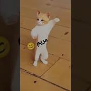 مريم يا قمر