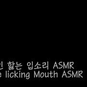 Asmr보지