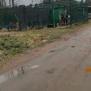 Тигр Шерхнн