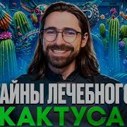 Резонанс Кактуса Psychedelic