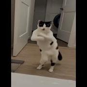 Тыгы Дыгы Дыг