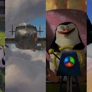 Пингвины Мадагаскара