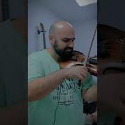 Скрипач Алины Вайханской