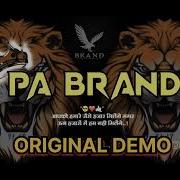 Pa Brand Demo