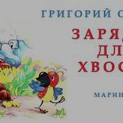 Остер Зарядка Для Хвоста