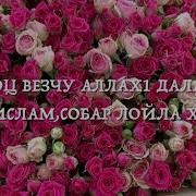 Дала Декъал Йойла Седа