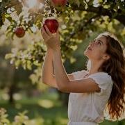 Я Красивых Не Боюсь