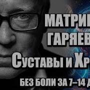 Всё Матрицы Петра Гаряева