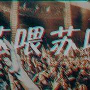 苏喂苏喂摇 Dj版