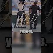 Порка Розгами